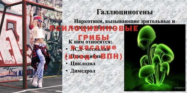 твердый Горно-Алтайск