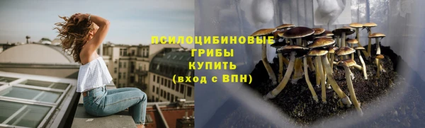 твердый Горно-Алтайск